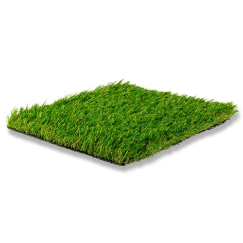 Goat Turf - Goat Fescue Premium preview 1