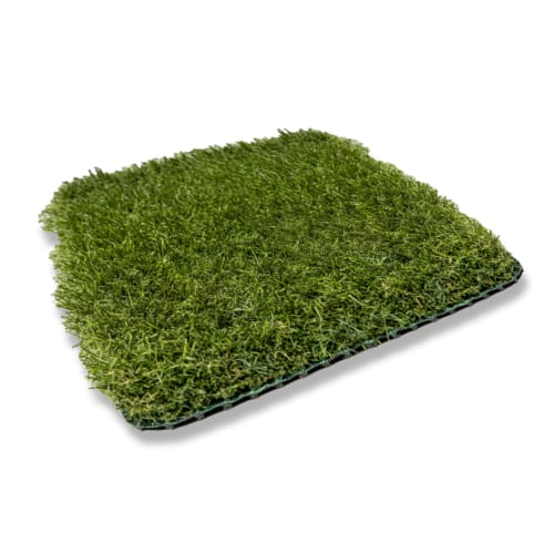 Goat Turf - Goat Zoysia preview 1
