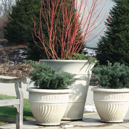 McDermot Planter preview 1