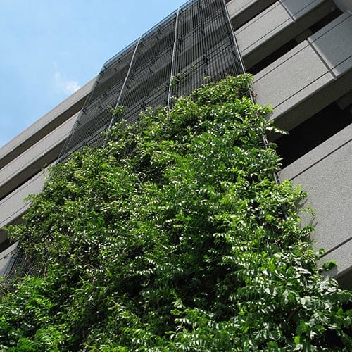Greenscreen Trellis Systems