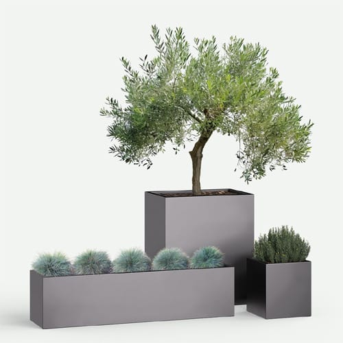 Pots & Planters