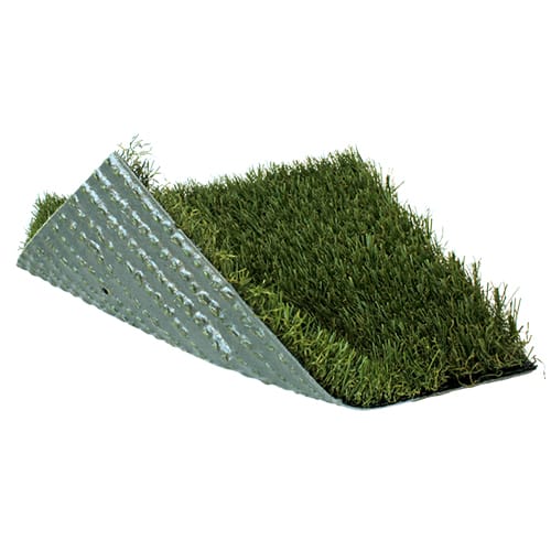 SoftLawn® Annual Rye preview 1