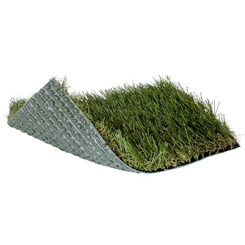 SoftLawn® Select Fescue preview 1