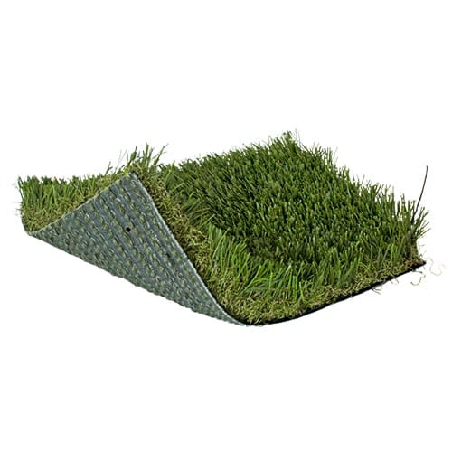 SoftLawn® Paspalum Pro preview 1