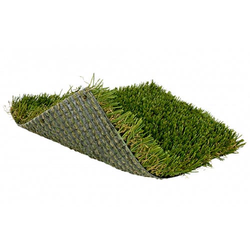 SoftLawn® Fresh Zoysia preview 1