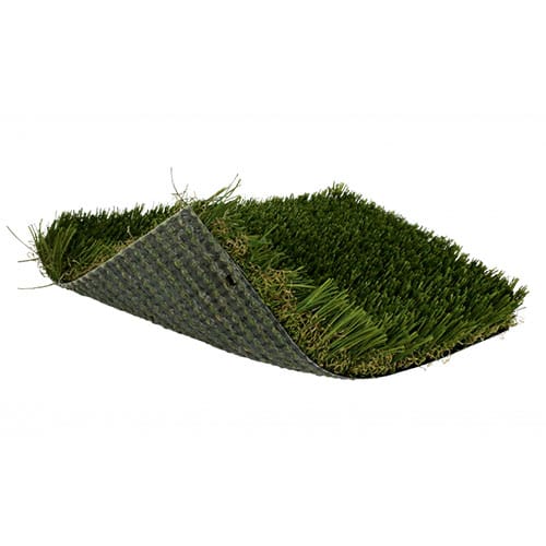 SoftLawn® Plush Zoysia preview 1