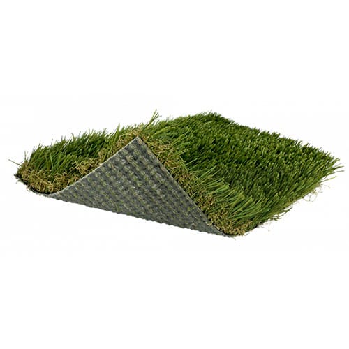 SoftLawn® Softlawn Tall Zoysia preview 1