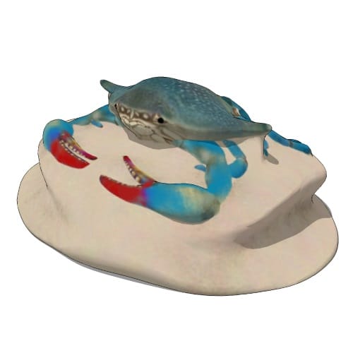 3D Preview