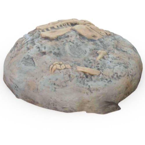 CAD Drawings Landscape Structures Inc. Fossil Digs T-Rex Bones