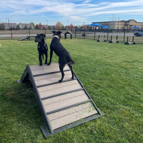 CAD Drawings BIM Models Gyms For Dogs Hill Climb