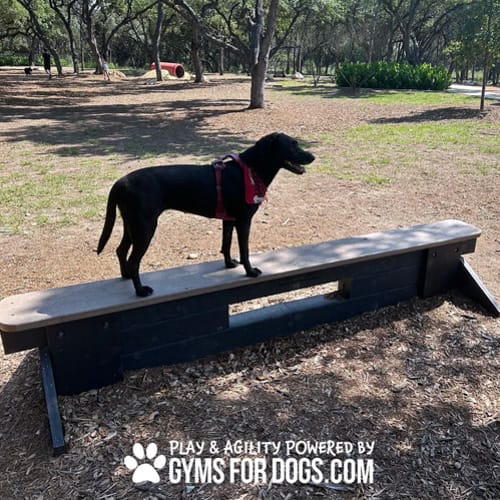 CAD Drawings BIM Models Gyms For Dogs Jump Balance Beam