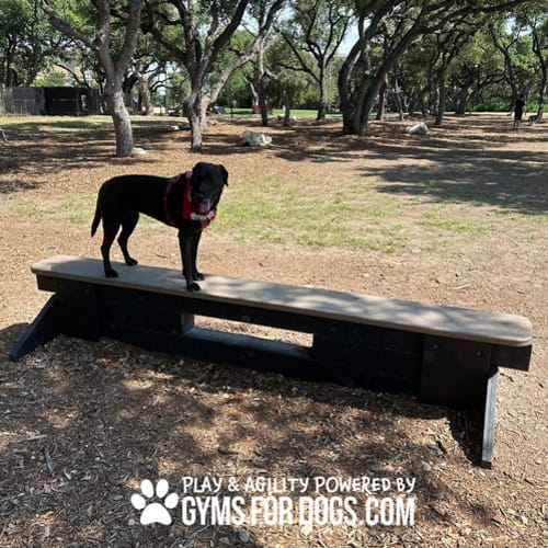 CAD Drawings BIM Models Gyms For Dogs Jump Balance Beam