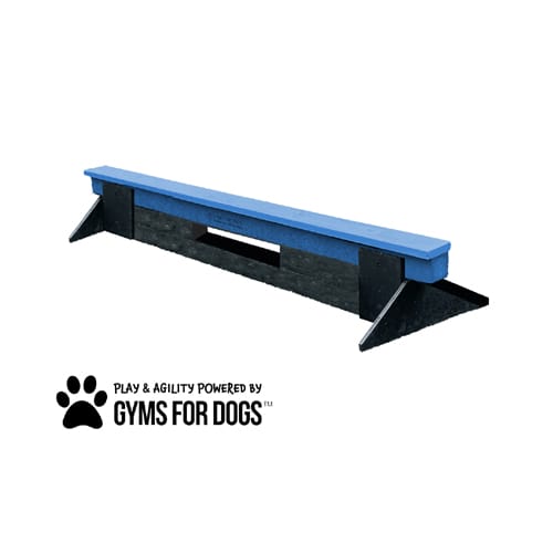 CAD Drawings BIM Models Gyms For Dogs Jump Balance Beam