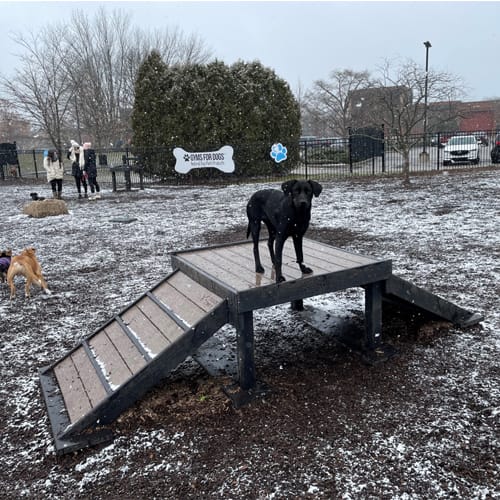 CAD Drawings BIM Models Gyms For Dogs Bridge Climb