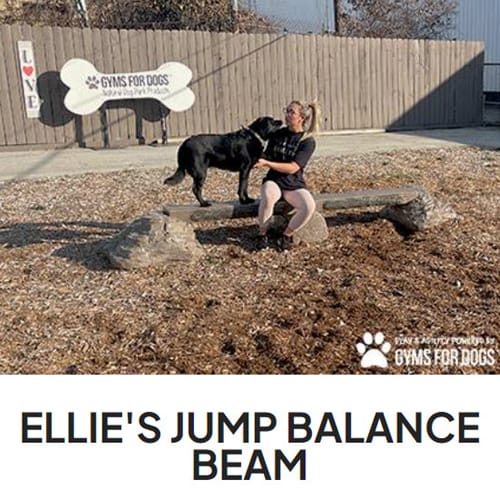 CAD Drawings BIM Models Gyms For Dogs Ellie's Jump Balance Beam