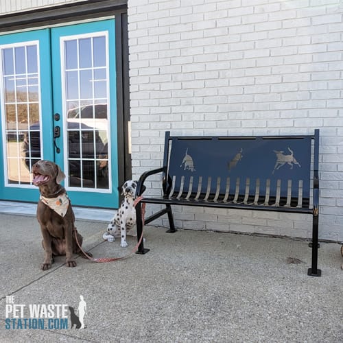 CAD Drawings BIM Models Gyms For Dogs Benches