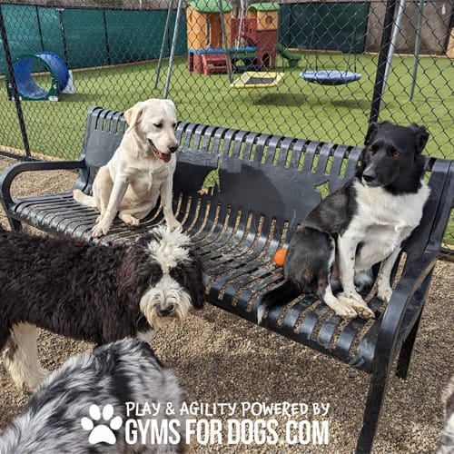CAD Drawings BIM Models Gyms For Dogs Benches