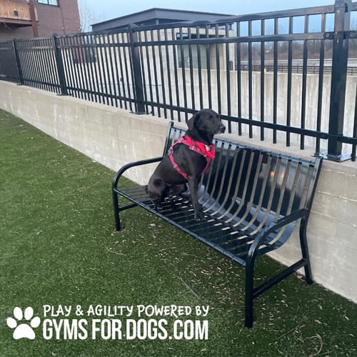 CAD Drawings BIM Models Gyms For Dogs Benches