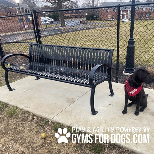 CAD Drawings BIM Models Gyms For Dogs Benches