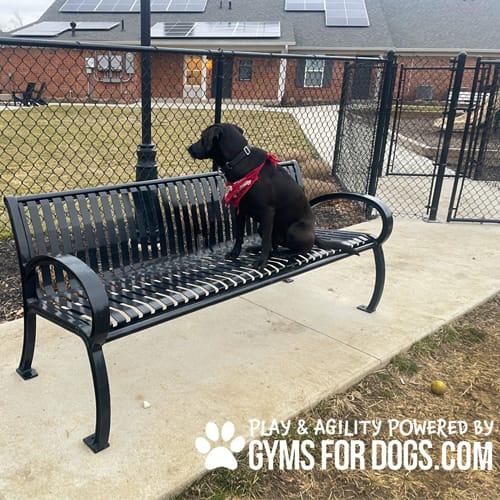 CAD Drawings BIM Models Gyms For Dogs Benches