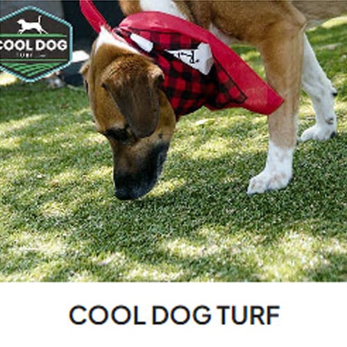 CAD Drawings Gyms For Dogs Cool Dog Turf
