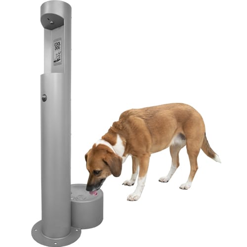 CAD Drawings BIM Models Gyms For Dogs Cool Dog Water Fountains