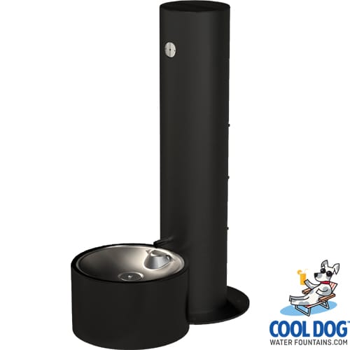 CAD Drawings BIM Models Gyms For Dogs Cool Dog Water Fountains