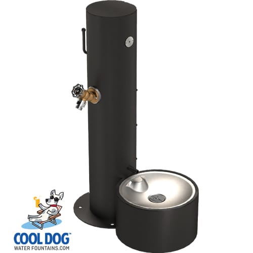 CAD Drawings BIM Models Gyms For Dogs Cool Dog Water Fountains