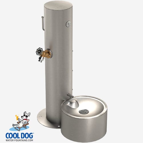 CAD Drawings BIM Models Gyms For Dogs Cool Dog Water Fountains