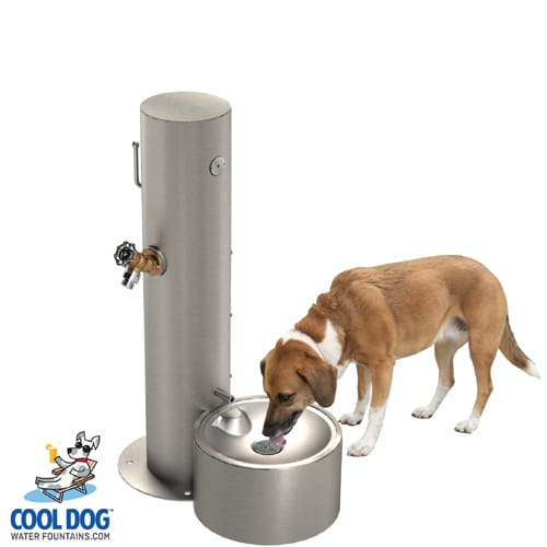 CAD Drawings BIM Models Gyms For Dogs Cool Dog Water Fountains