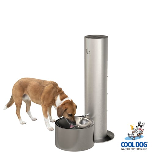 CAD Drawings BIM Models Gyms For Dogs Cool Dog Water Fountains