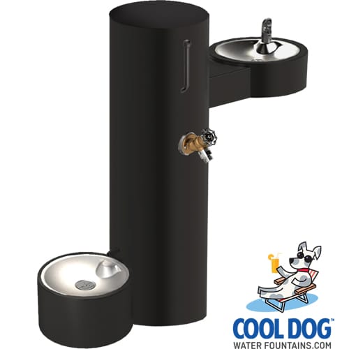 CAD Drawings BIM Models Gyms For Dogs Cool Dog Water Fountains