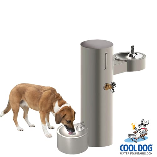 CAD Drawings BIM Models Gyms For Dogs Cool Dog Water Fountains