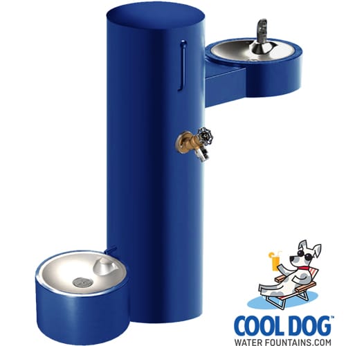CAD Drawings BIM Models Gyms For Dogs Cool Dog Water Fountains