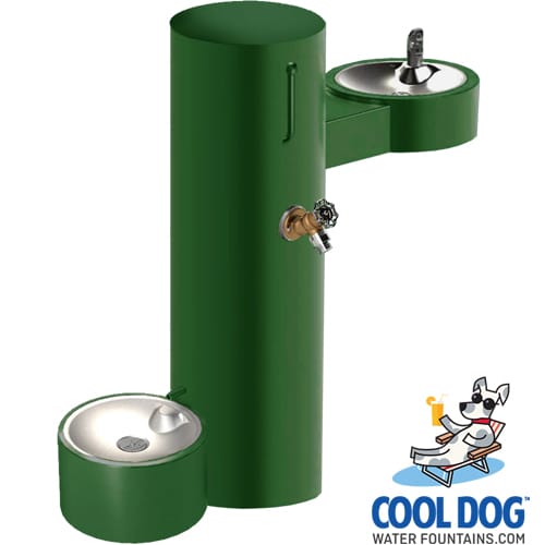 CAD Drawings BIM Models Gyms For Dogs Cool Dog Water Fountains
