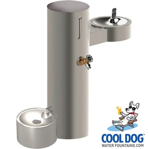 CAD Drawings BIM Models Gyms For Dogs Cool Dog Water Fountains