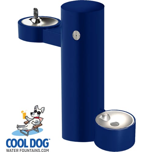 CAD Drawings BIM Models Gyms For Dogs Cool Dog Water Fountains