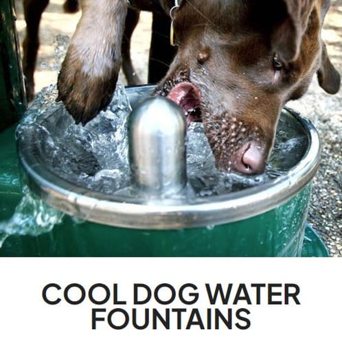 CAD Drawings BIM Models Gyms For Dogs Cool Dog Water Fountains