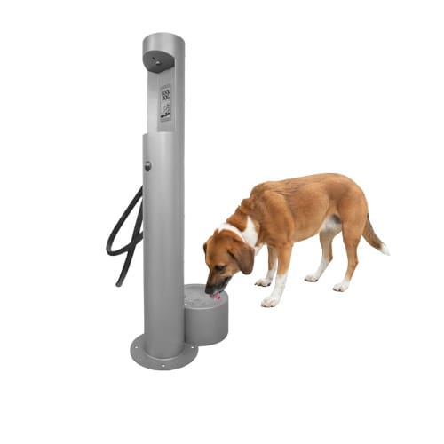 CAD Drawings BIM Models Gyms For Dogs Cool Dog Water Fountains