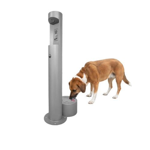 CAD Drawings BIM Models Gyms For Dogs Cool Dog Water Fountains