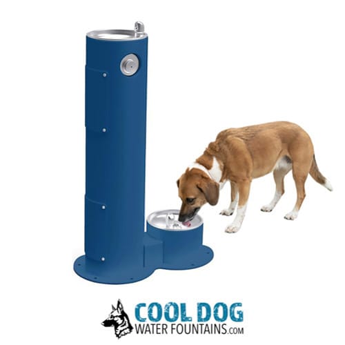 CAD Drawings BIM Models Gyms For Dogs Cool Dog Water Fountains