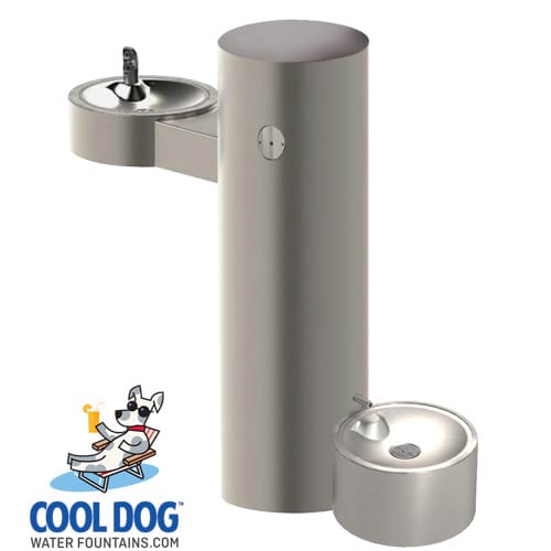 CAD Drawings BIM Models Gyms For Dogs Cool Dog Water Fountains