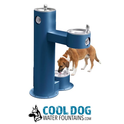 CAD Drawings BIM Models Gyms For Dogs Cool Dog Water Fountains