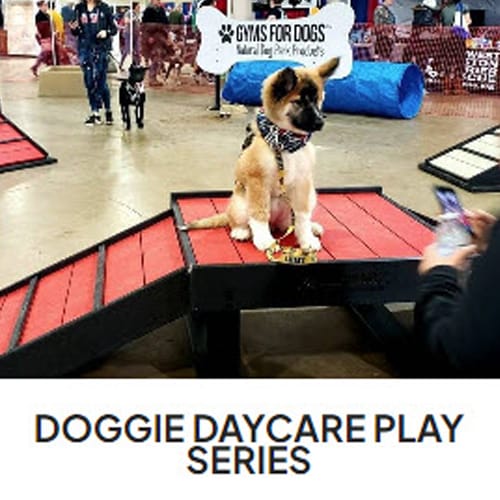 CAD Drawings BIM Models Gyms For Dogs Doggie Daycare Play Series