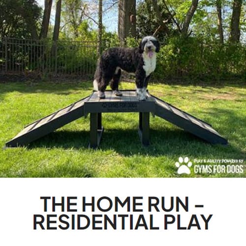 CAD Drawings BIM Models Gyms For Dogs The Home Run - Residencial Play