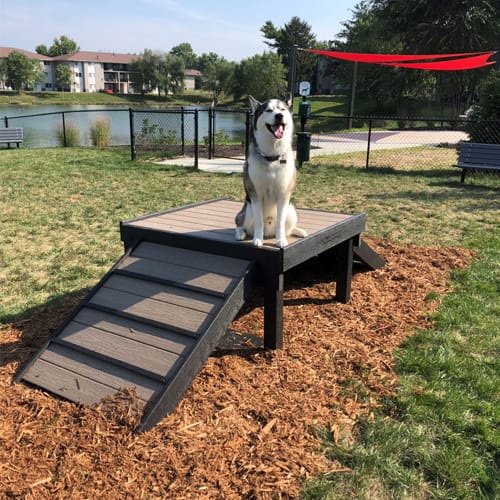 CAD Drawings BIM Models Gyms For Dogs The Home Run - Residencial Play