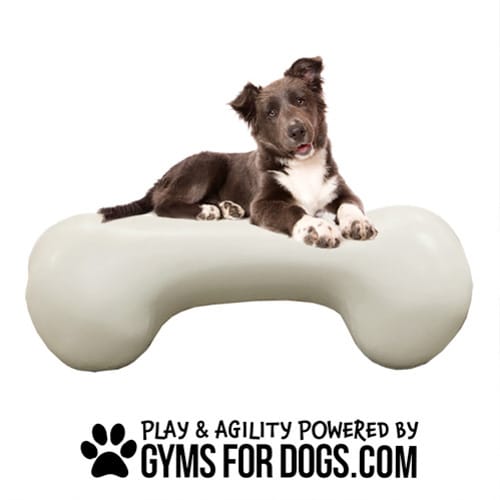 CAD Drawings BIM Models Gyms For Dogs Agility Bone