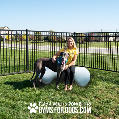CAD Drawings BIM Models Gyms For Dogs Agility Bone