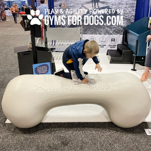 CAD Drawings BIM Models Gyms For Dogs Agility Bone