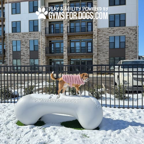 CAD Drawings BIM Models Gyms For Dogs Agility Bone